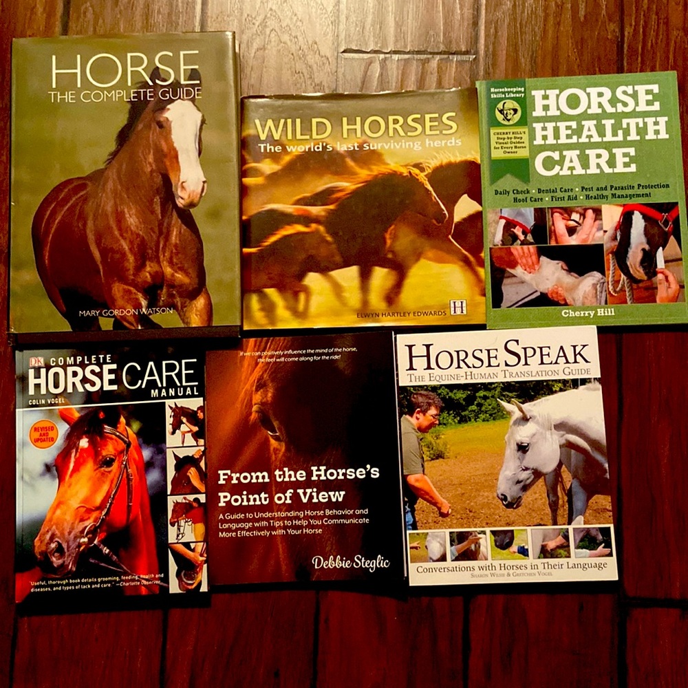 Horse books bundle of 6